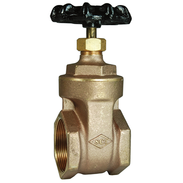 Dixon Valve & CouplingBGV150